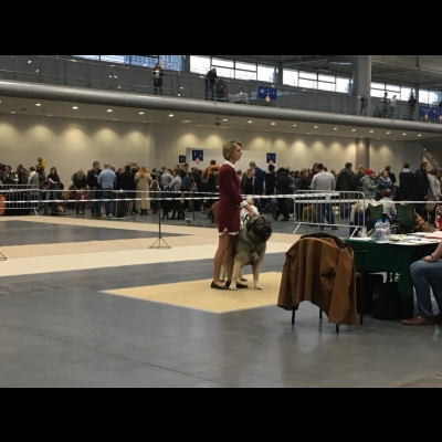 IDS POZNAŃ'18 - VALKYRIA